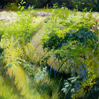 Raspberry Square   24x24   Oil on Canvas   2008