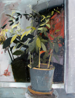 Night Plant   40x30   Oil on Canvas   2012