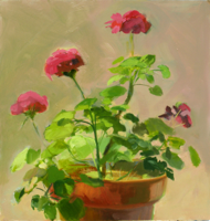Geranium Pink   16x15   Oil on Canvas   2010