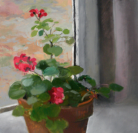 Geraniums Day   15x16   Oil on Canvas   2010